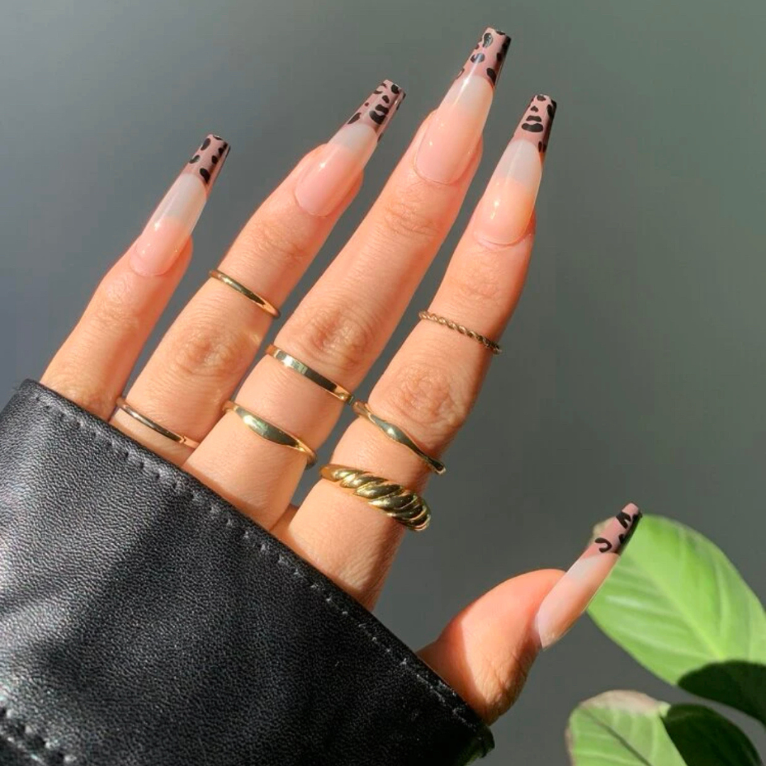 long coffin shaped press on false nails with a brown leopard print french tip